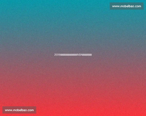 2009年热火对决公牛双加时鏖战成就NBA经典历史传奇之夜 2009年热火对决公牛双加时鏖战成就NBA经典历史传奇之夜