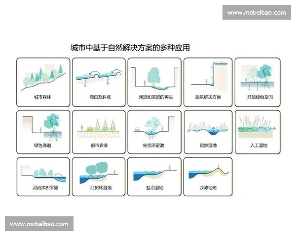 飓风vs极端天气对抗下的城市韧性与未来防灾挑战探索路径研究